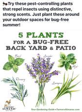 Anna B (anna98908) - Profile | Pinterest