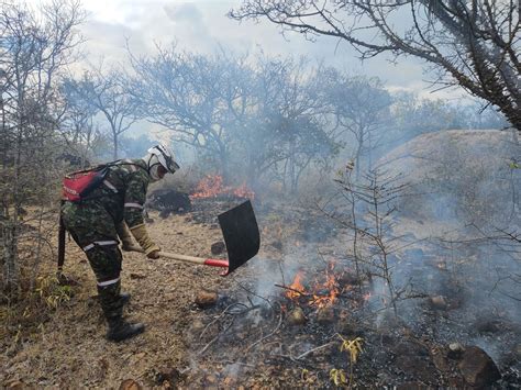 Ejército hace uso de sus capacidades y diferenciales, para extinguir ...