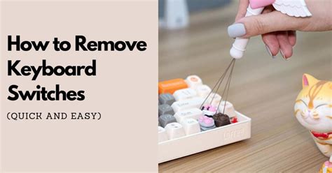 Image result for Keyboard Switch Remove