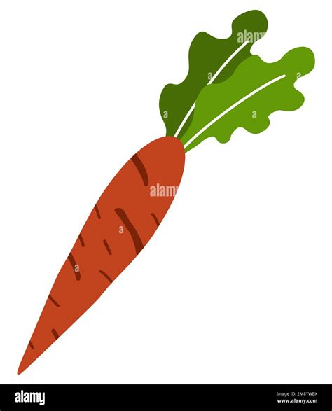 Carrot Clip Art Simple Isolated Stock Photo - Alamy