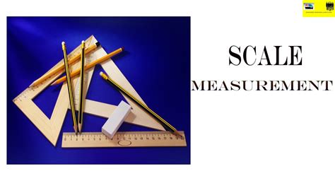 Measuring Using Scaled Instruments 的图像结果
