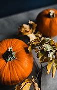 Image result for Fall Pumpkin Flower Arrangement