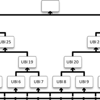 Hash Tree 的图像结果
