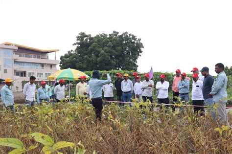 Healthy Snack Seeds | Organic Farming Contributions in India – Farm Growers