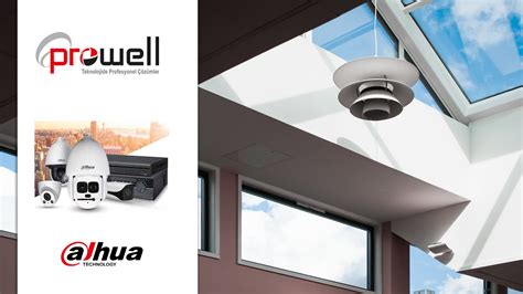 Dahua 的图像结果