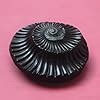 Buy GANGTARANG Sudarshan Shaligram Stone from Nepal Gandaki River ...