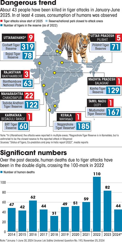 Tiger Attacks Surge: Unraveling the Human-Tiger Conflict in India