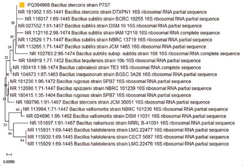 Bacillus stercoris and Enterobacter quasihormaechei as phosphate ...