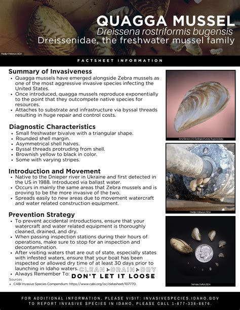 Idaho Invasive Species Sticker