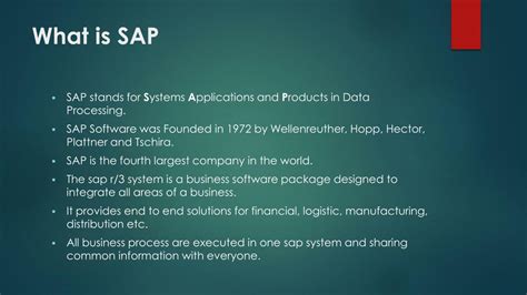 What Is SAP Program 的图像结果