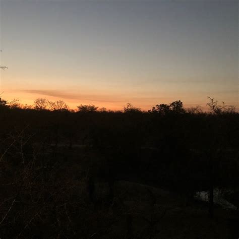 HOEDSPRUIT ENDANGERED SPECIES CENTRE - Guesthouse Reviews & Photos ...