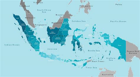 Vector modern illustration. Simplified geographical map of Indonesia and neighboring countries ...