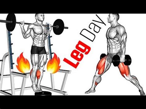 Leg Exercise 的图像结果