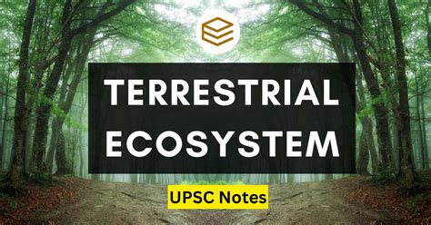 Terrestrial Ecosystem : Most Important topics, UPSC 2025 Notes PDF ...