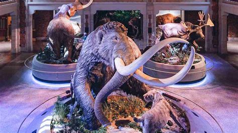 Image result for Toledo Zoo Python