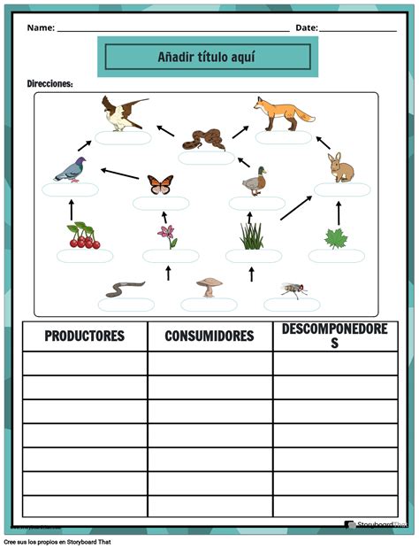 Hojas De Trabajo De La Cadena Alimenticia Para Niños