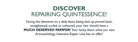 L'Occitane Intensive Repairing Shampoo - Clean Formula, 500ml : Amazon ...