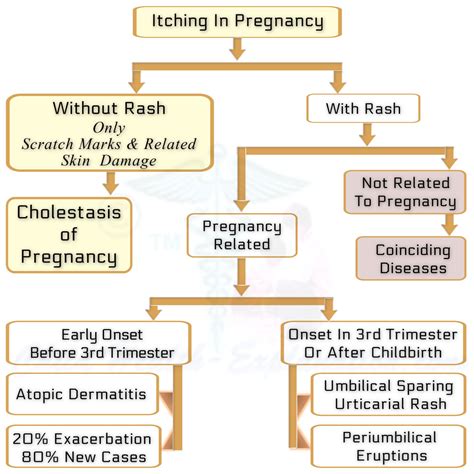Itchy Rash On Hands While Pregnant at Ronald Kinney blog