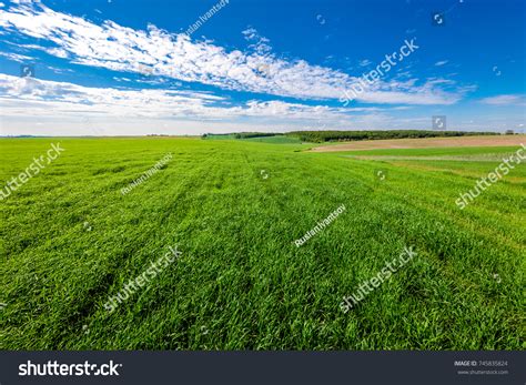 Gress Texture: Over 312 Royalty-Free Licensable Stock Photos | Shutterstock
