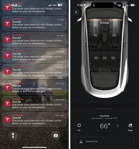 Dog Mode failure results in death of pet | Tesla Motors Club