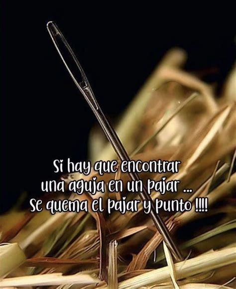 Pin de 𝕊𝕦𝕪𝕚𝕖 en Quick Saves | Frases bonitas de vida, Frases sabias ...