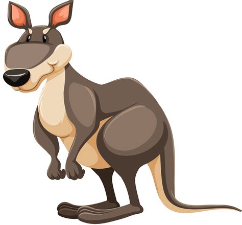 Red kangaroo Clip art - kangaroo png download - 4301*4000 - Free ...