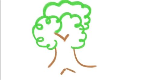 Image result for Shape Tween Animation Tree Drawing
