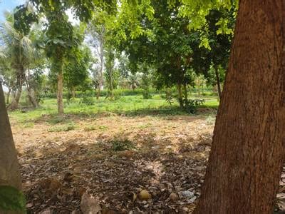 Agricultural Land For Sale in Kanakapura, Ramanagara