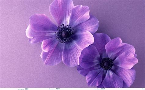 Cute Purple Backgrounds - Wallpaper Cave