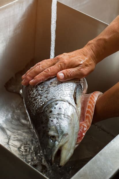 雄手洗鱼水流入大鱼烹饪寿司的第一阶段优高清图片下载-正版图片503552734-摄图网