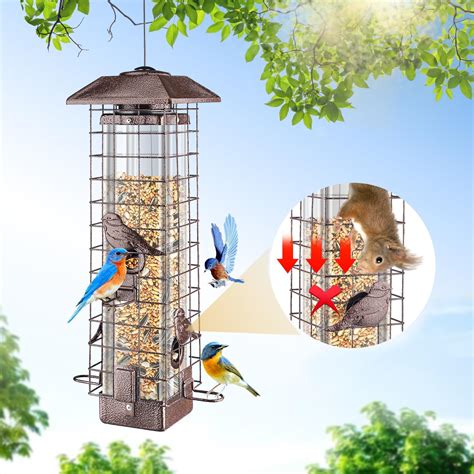 Amazon.com : DSUMD Bird Feeder, Metal Bird Feeder for Bird Lovers, 4 ...