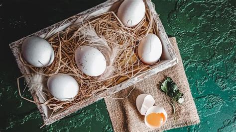 New Study Reveals: Eggs May Help Lower Bad Cholesterol When Eaten Right