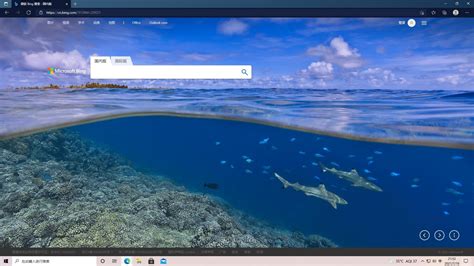 Bing 主页图片 的图像结果
