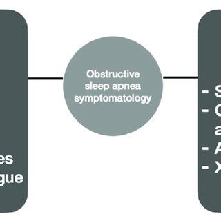 Obstructive sleep apnea symptoms. | Download Scientific Diagram