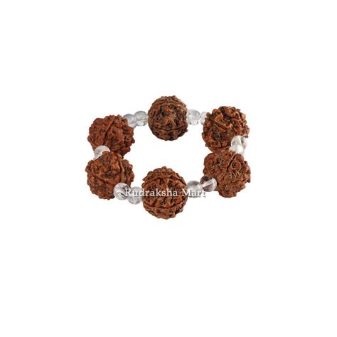 Buy Online 5 Mukhi Nepali Rudraksha with Sphatik Bracelet - Adjustable ...