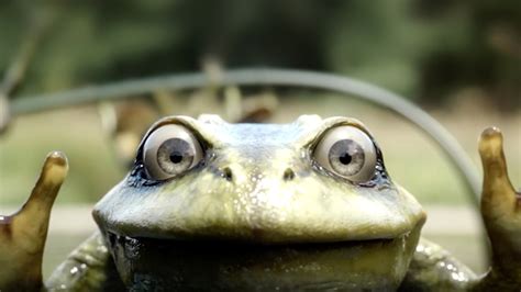 Image result for VFX Programming