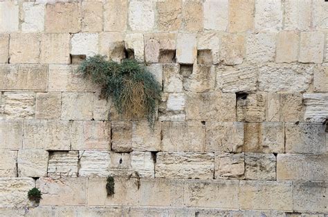 Western Wall In Jerusalem Free Stock Photo - Public Domain Pictures