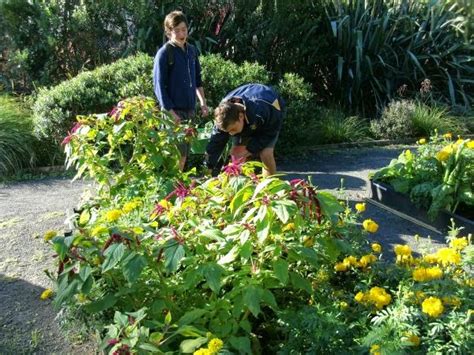 Image result for Horticulture Tips