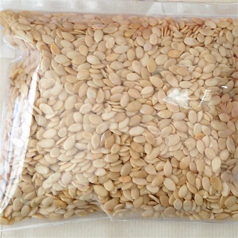 Watermelon Seed 250g – orlydryfruits