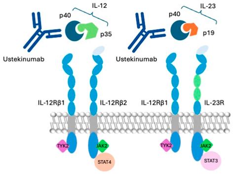 Ustekinumab Biosimilars