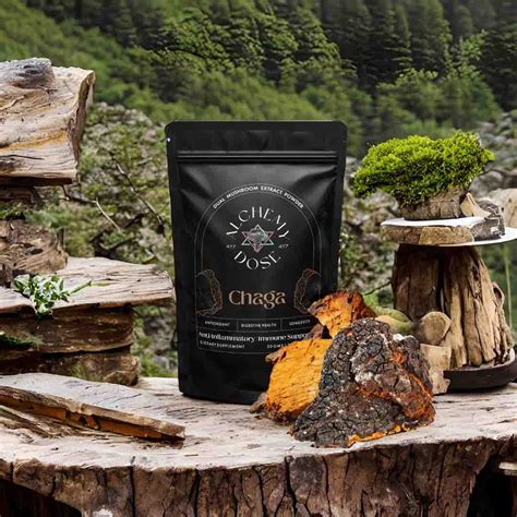 Chaga Mushroom - Support Immunity & Boost Vitality – Alchemy Dose