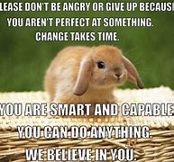 Image result for Funny Bunny Sayings