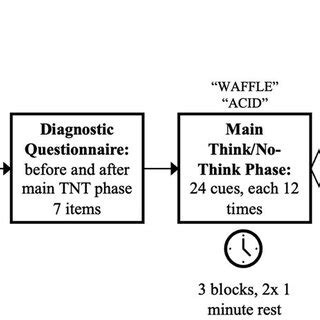 Procedure 的图像结果