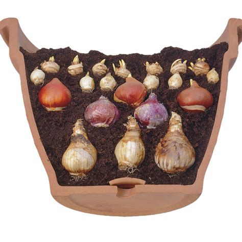 What is lasagne planting? ? Richard Jackson's Garden