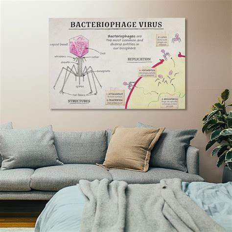 Biological Bacteriology Poster Phage Virus Cell India | Ubuy