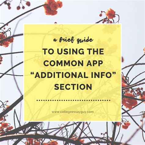 Additional Information Section Examples 的图像结果