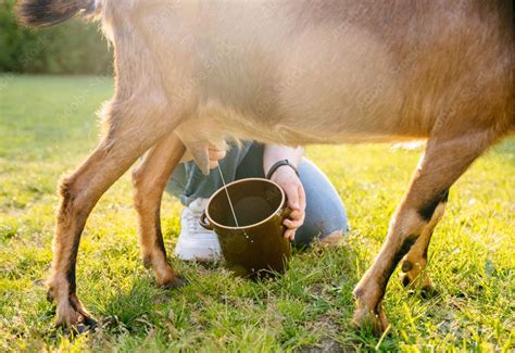 The Role of Goat Milk in Enhancing Health Among Pro-Poor Families