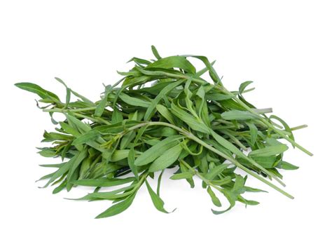 Herb French Tarragon