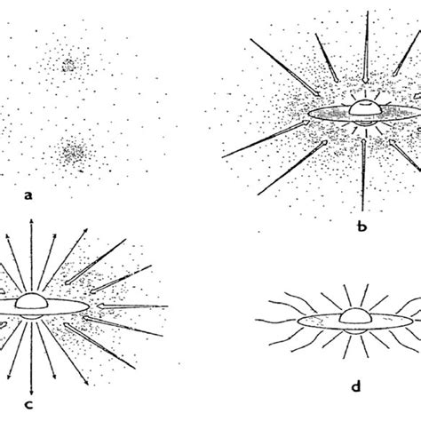 How Star Formed 的图像结果
