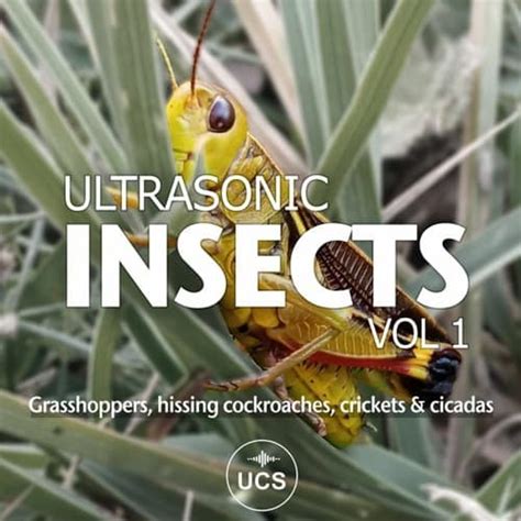 Image result for Sound Effect Insect Spray